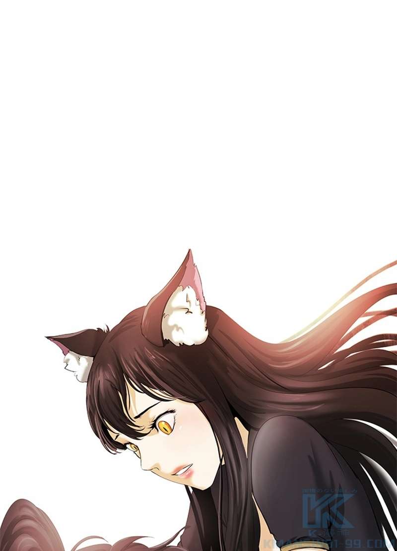 P46