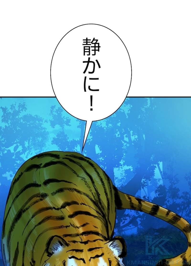 P49