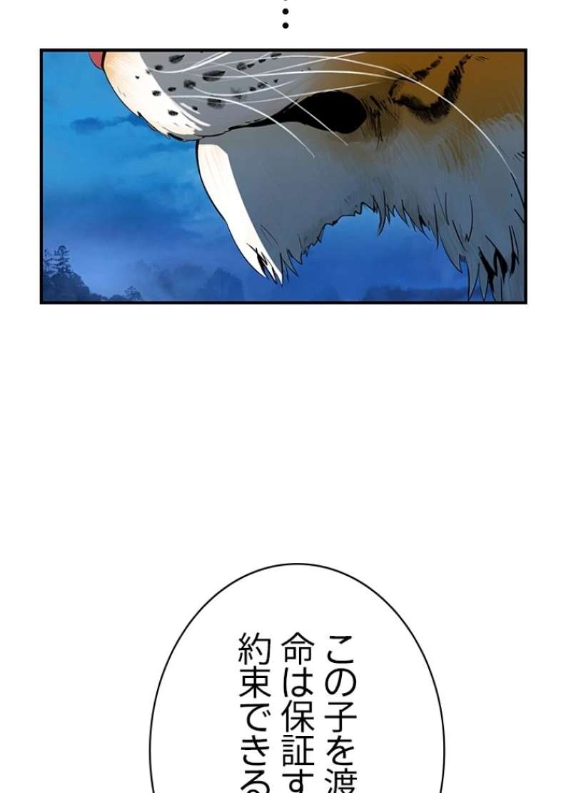 P62
