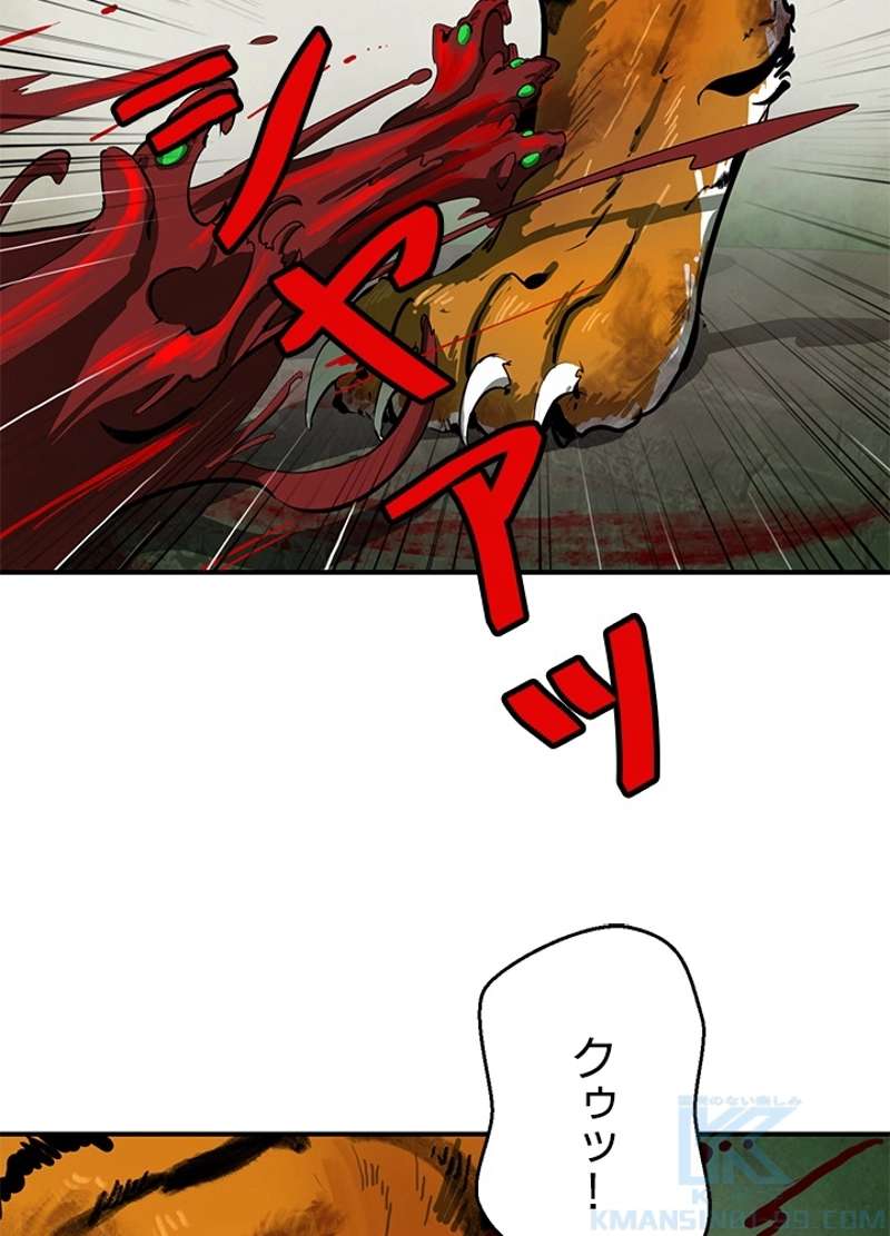 P64