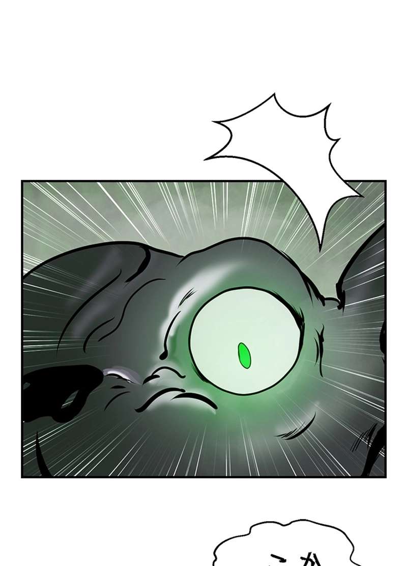 P66