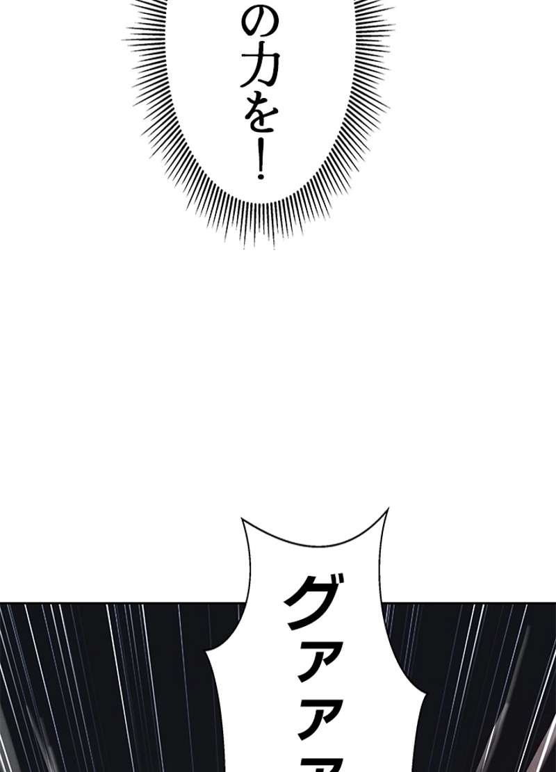 P63