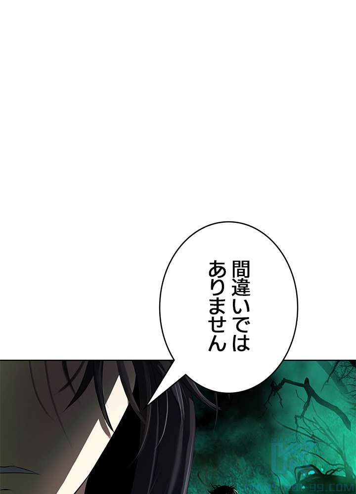 P133