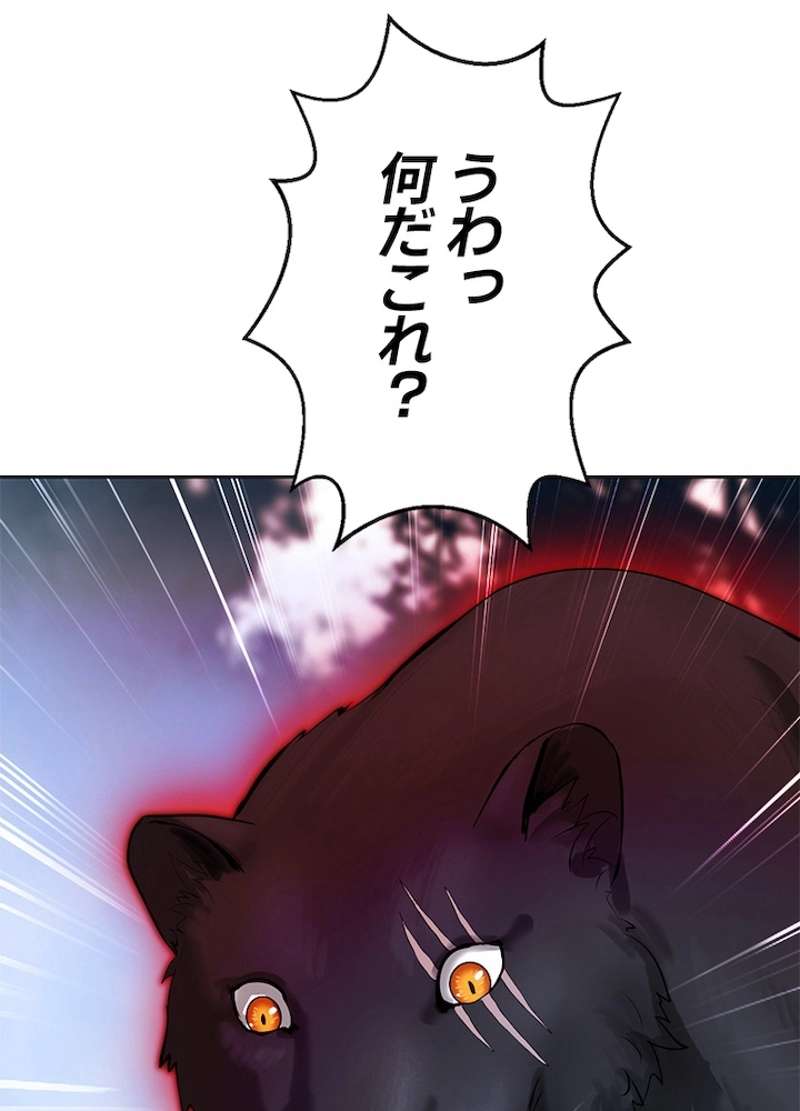 P110