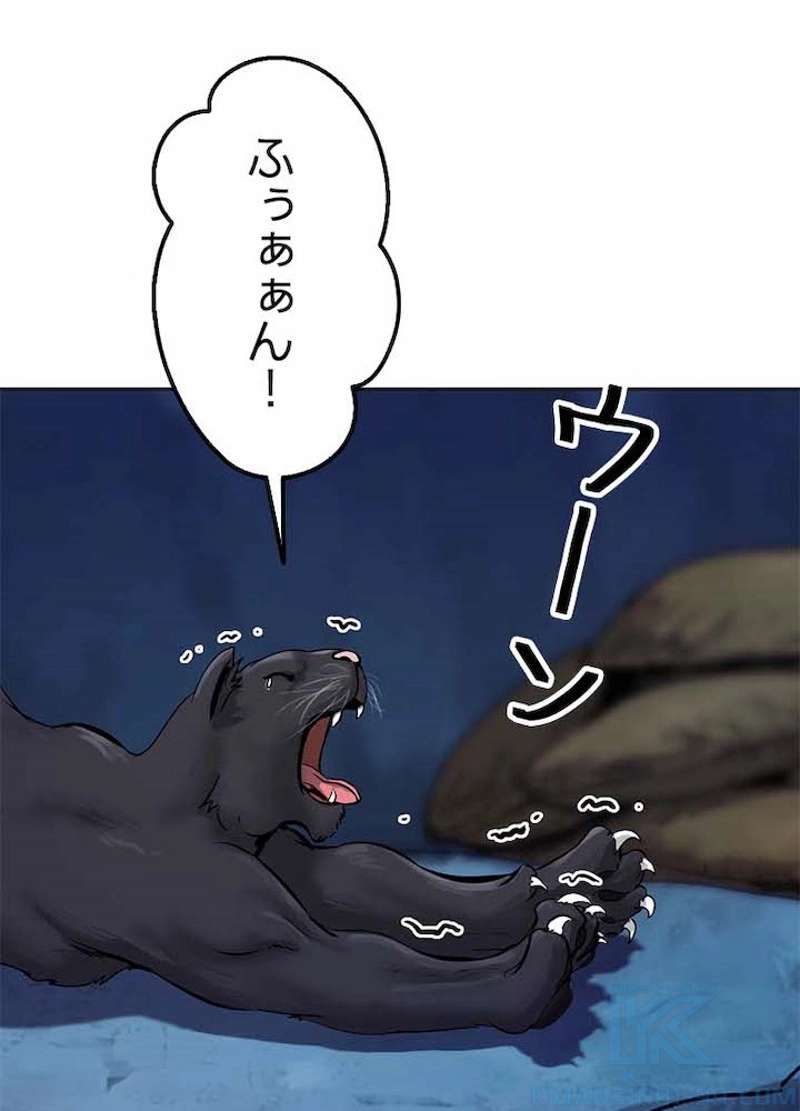 P49