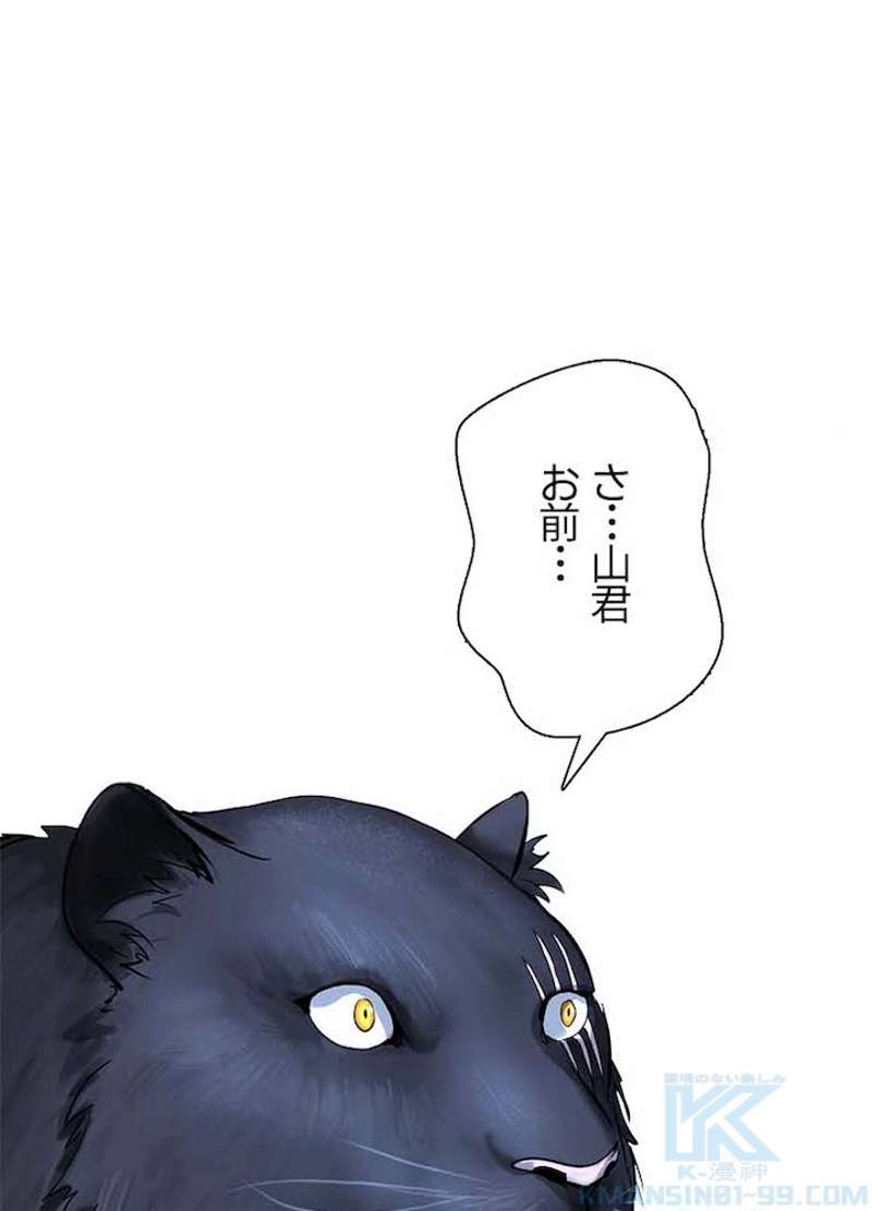 P61
