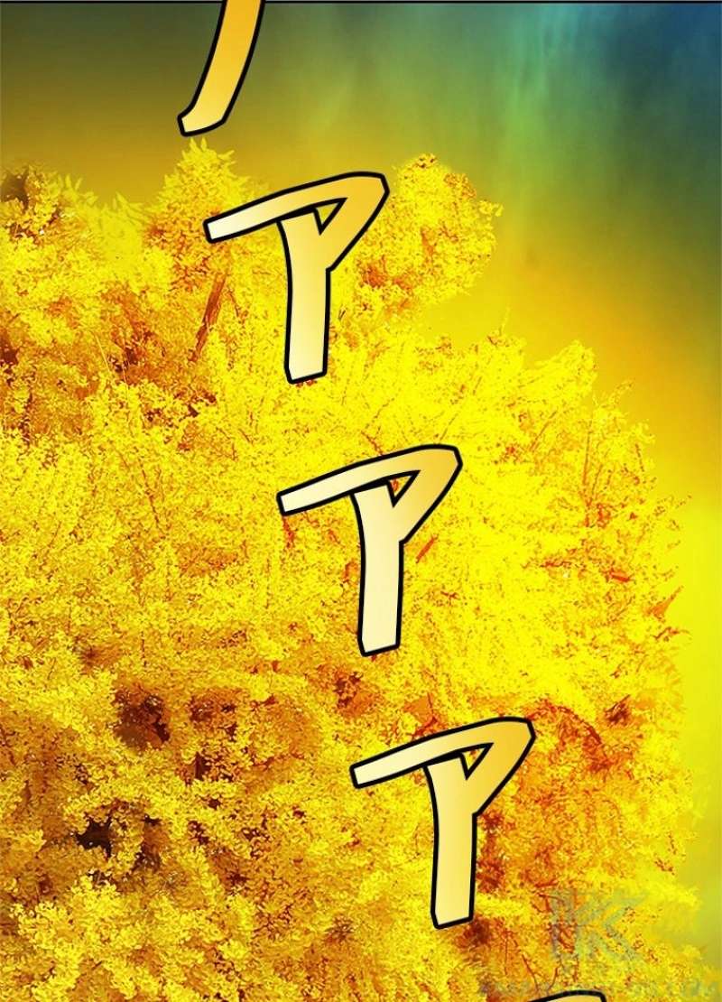 P97