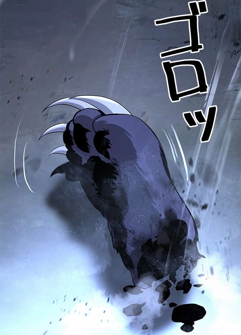 P41