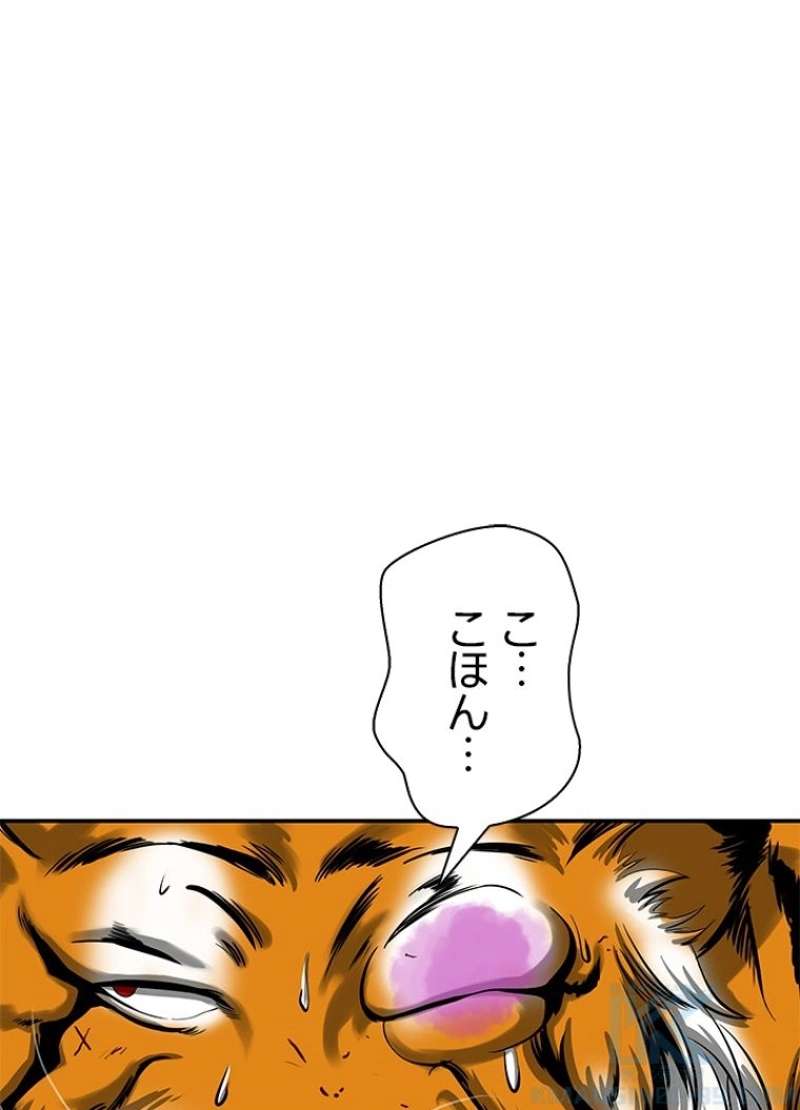 P43
