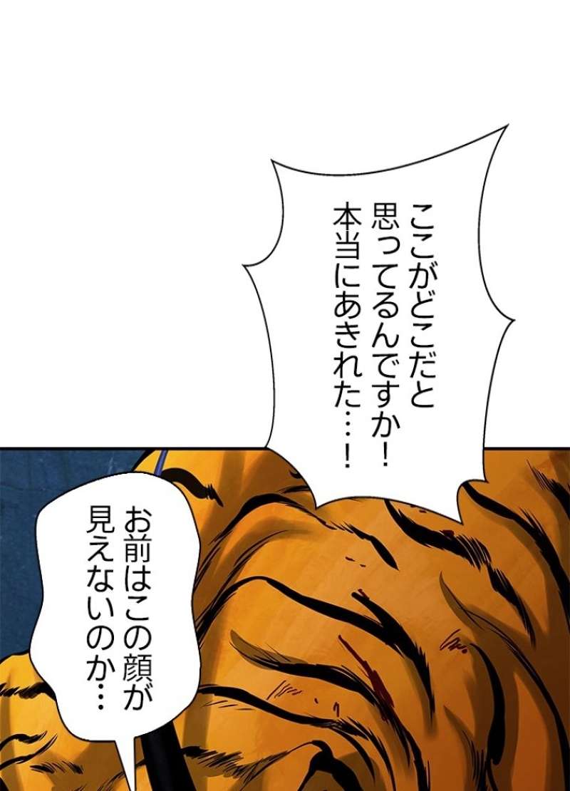 P48