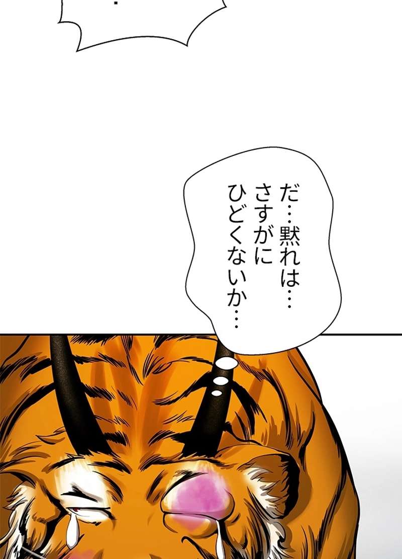 P53