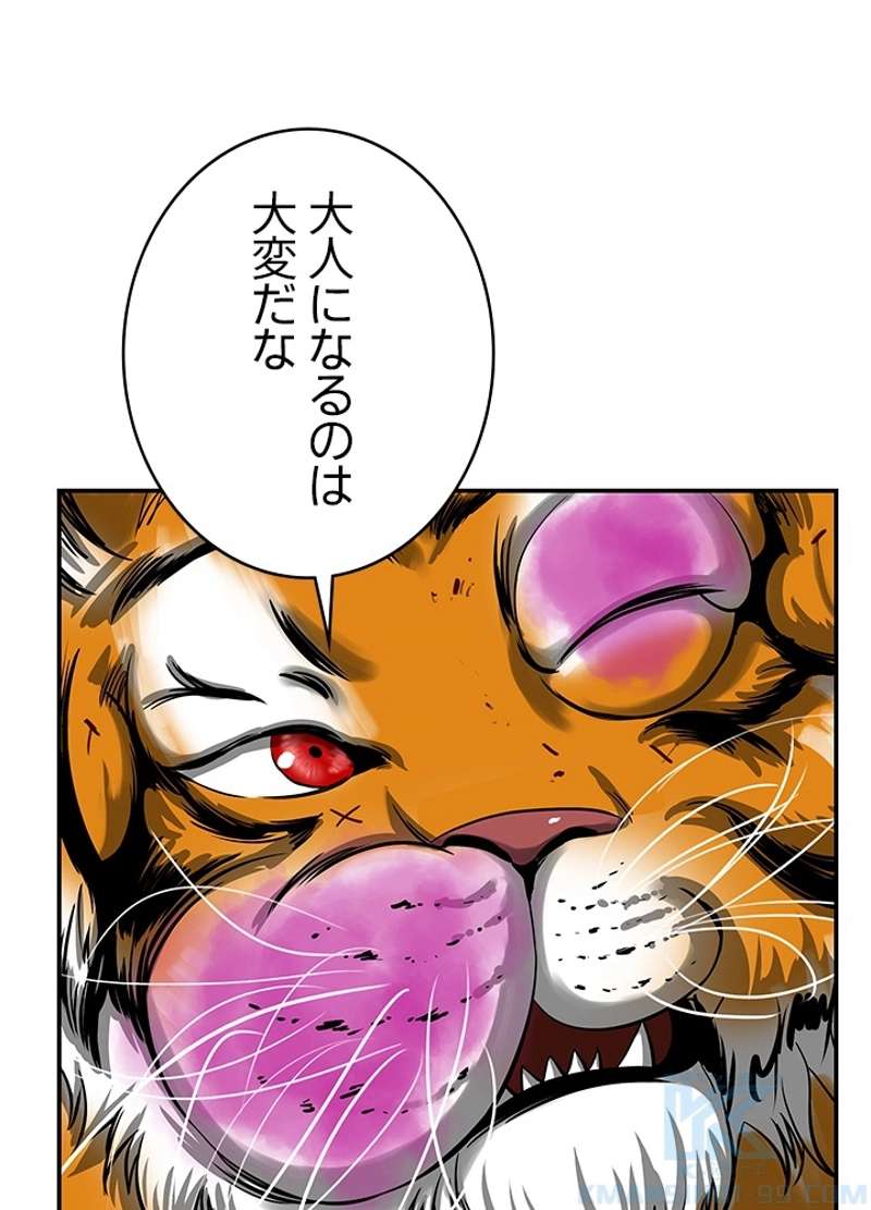 P58