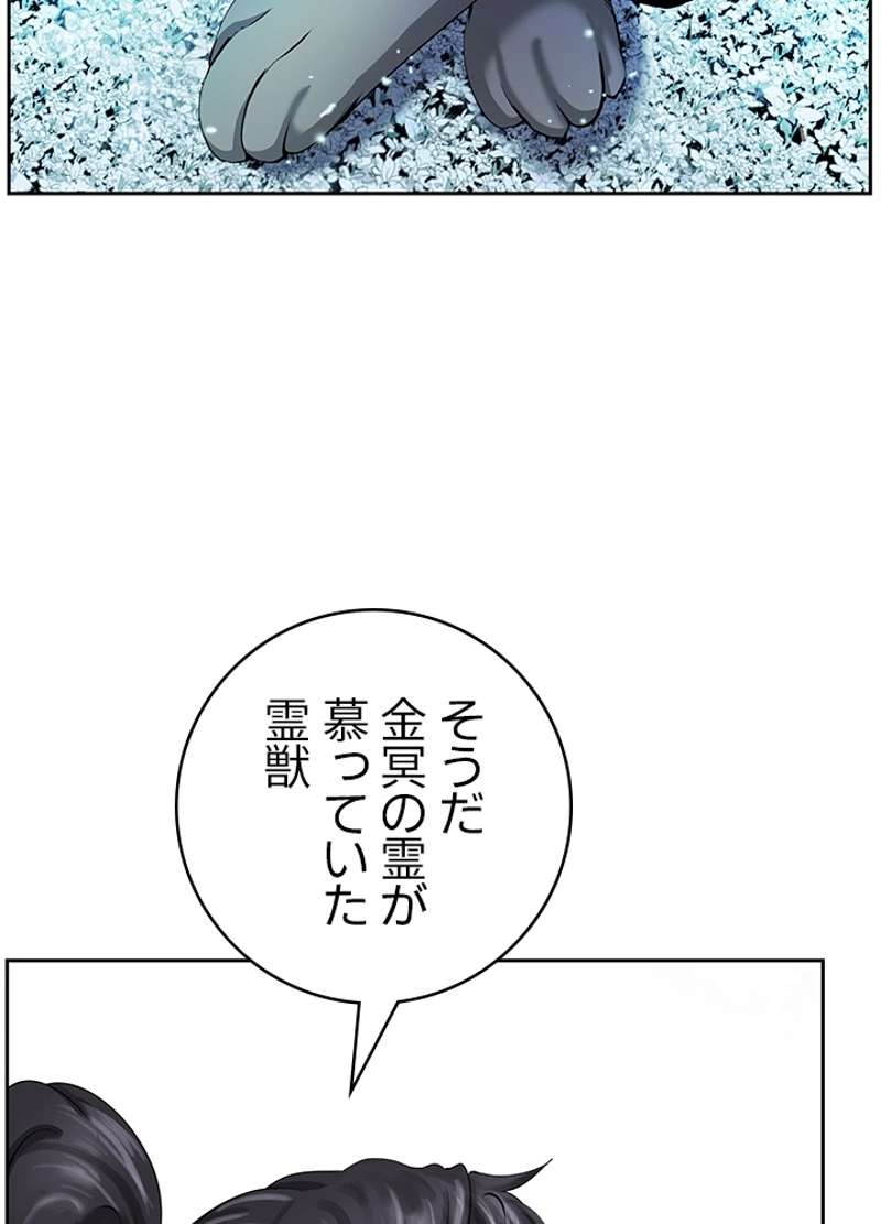 P56