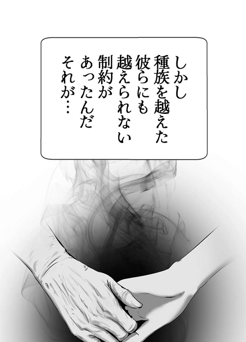 P66