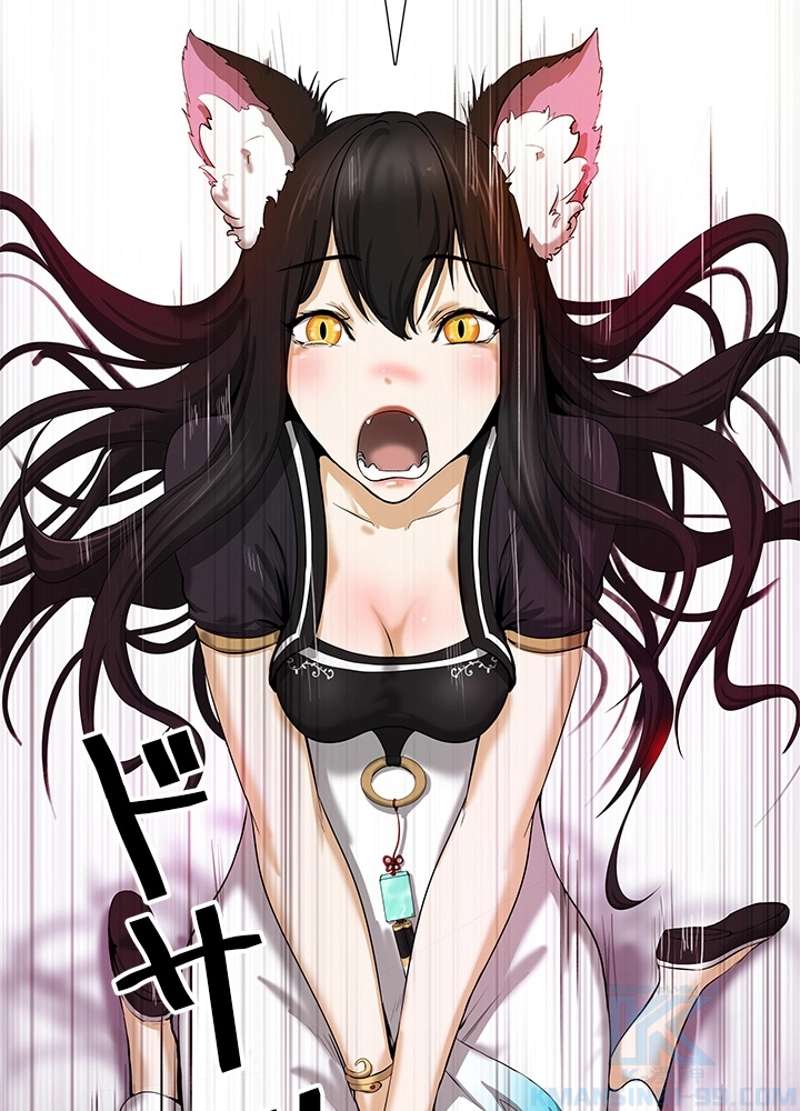 P46