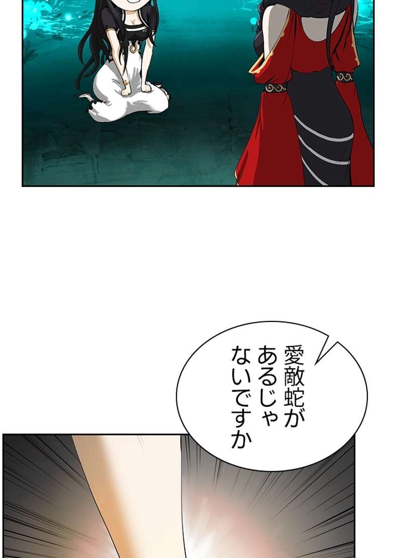 P48