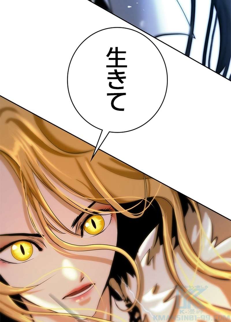 P166