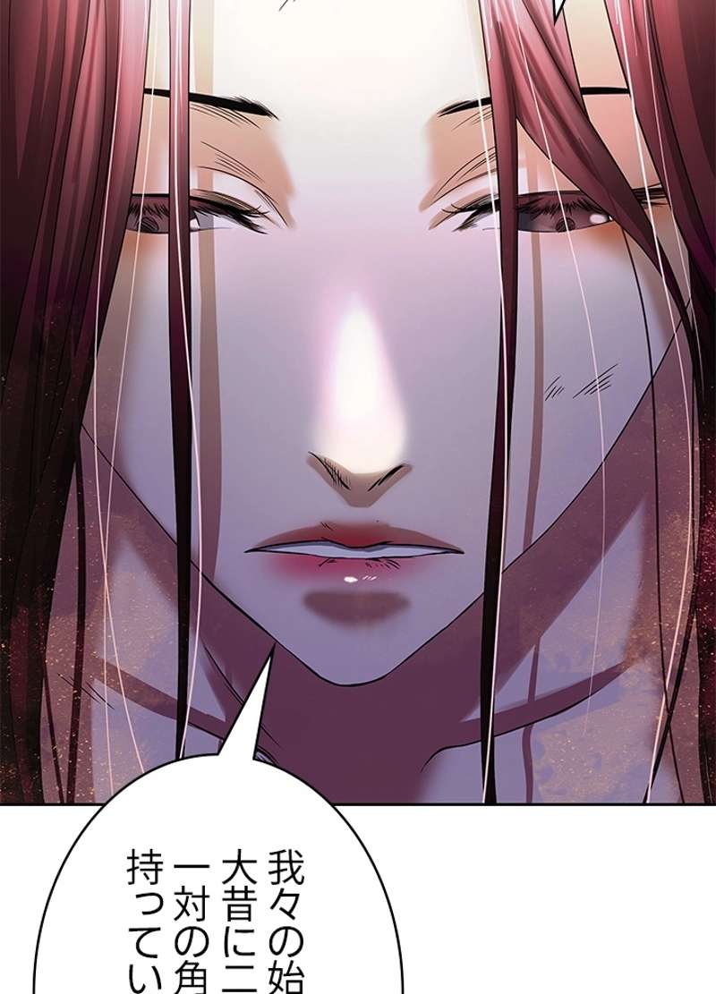 P63