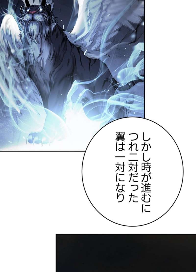 P65