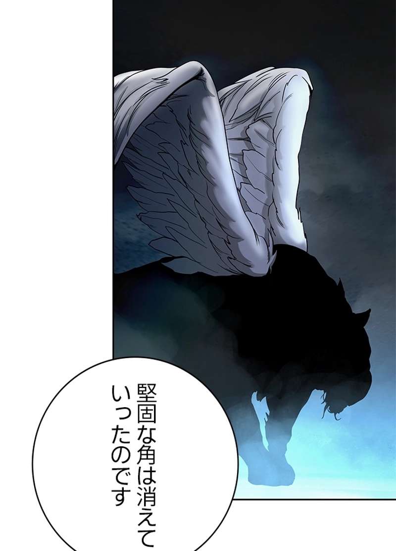 P66