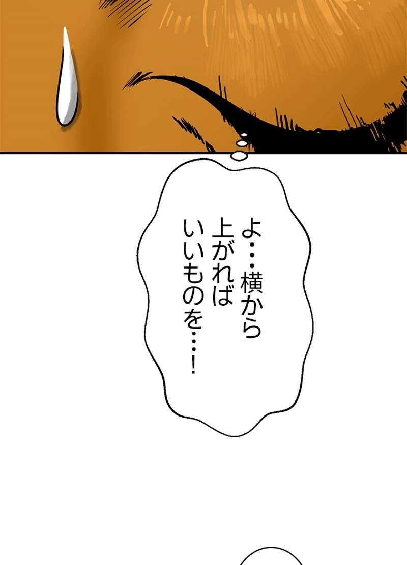 P113