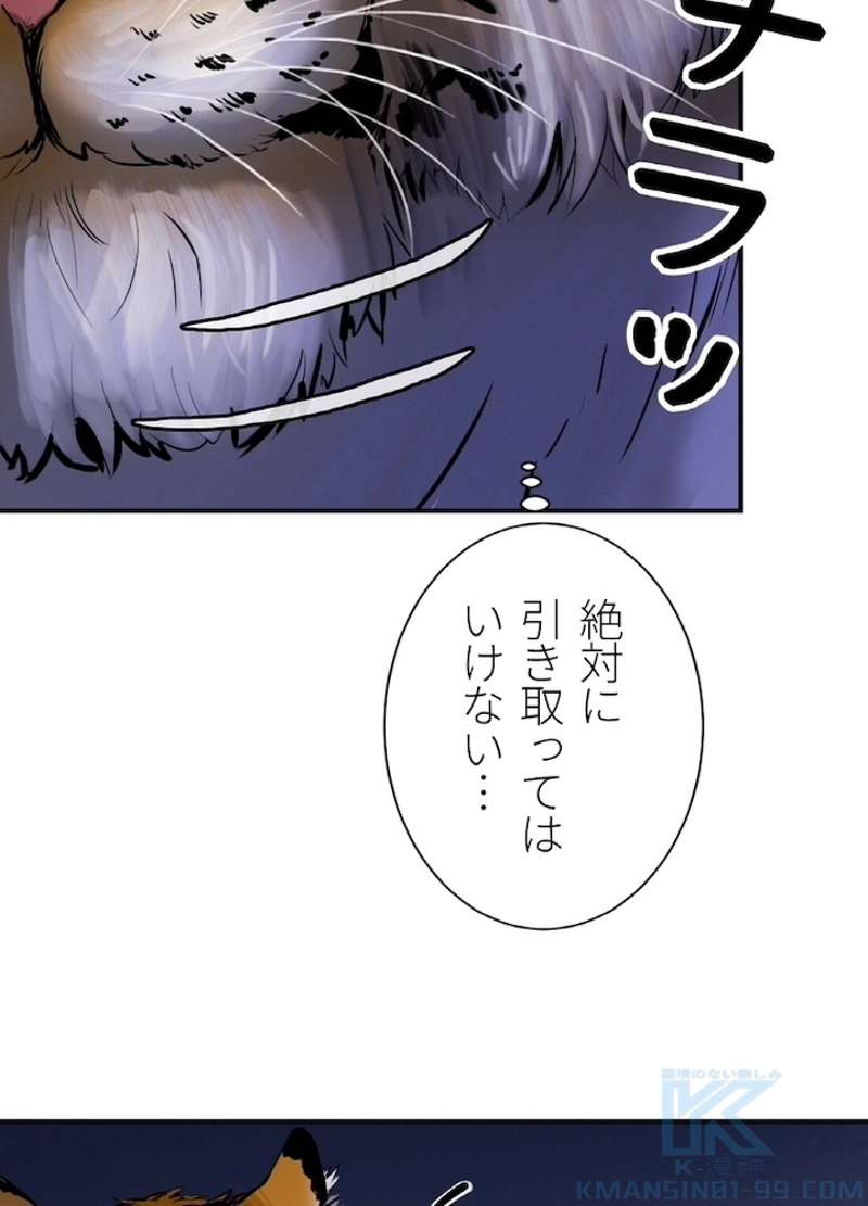 P52