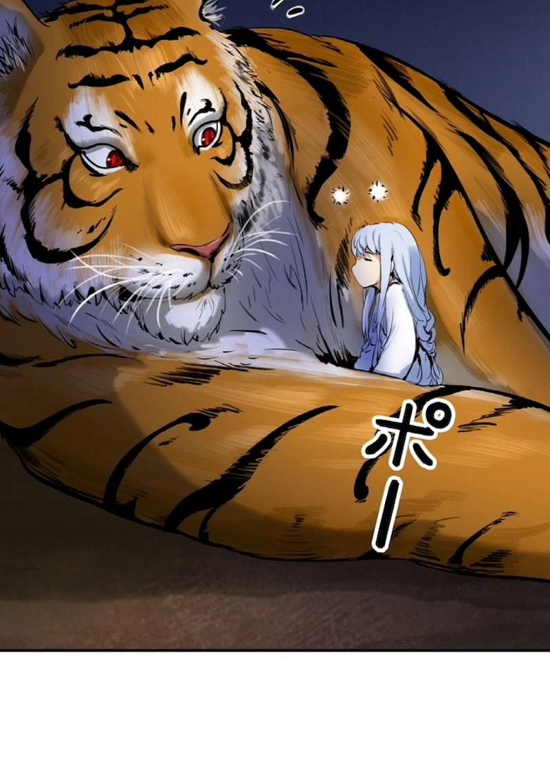 P53
