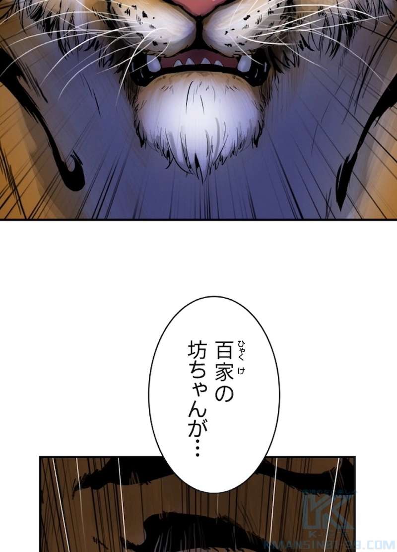 P61