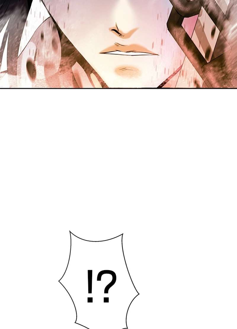 P44