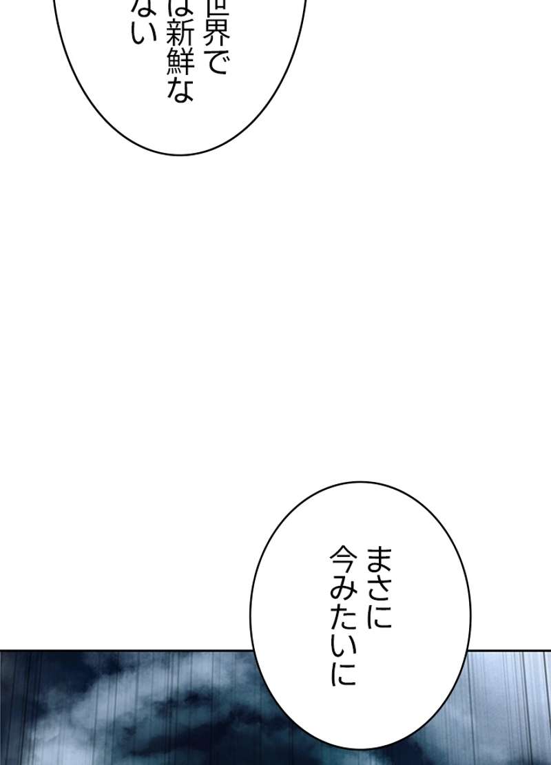 P66