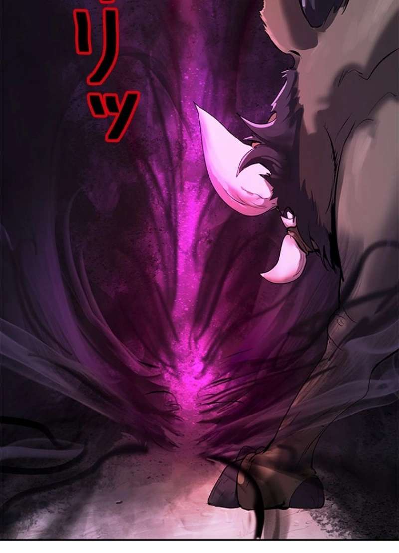 P63