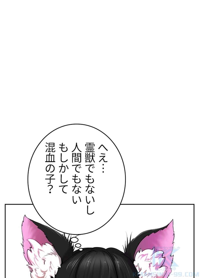 P61