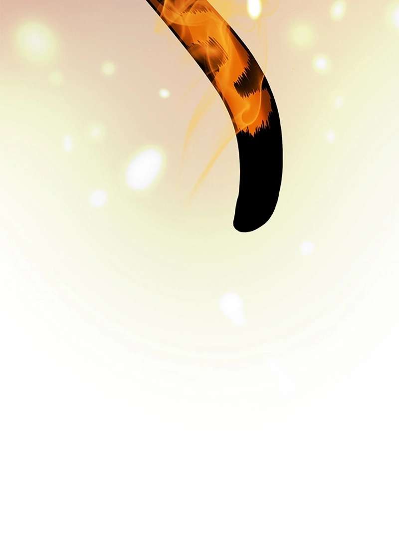 P84