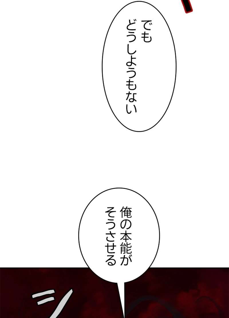 P81