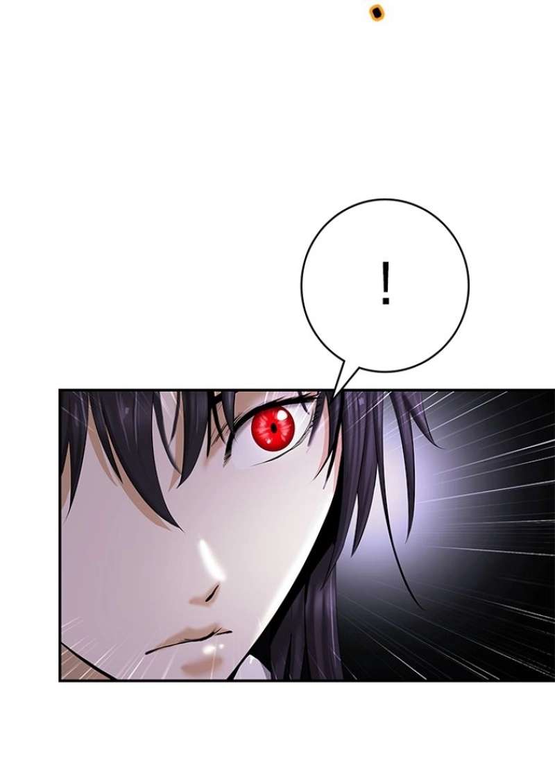 P53