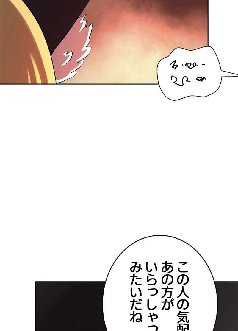 P104