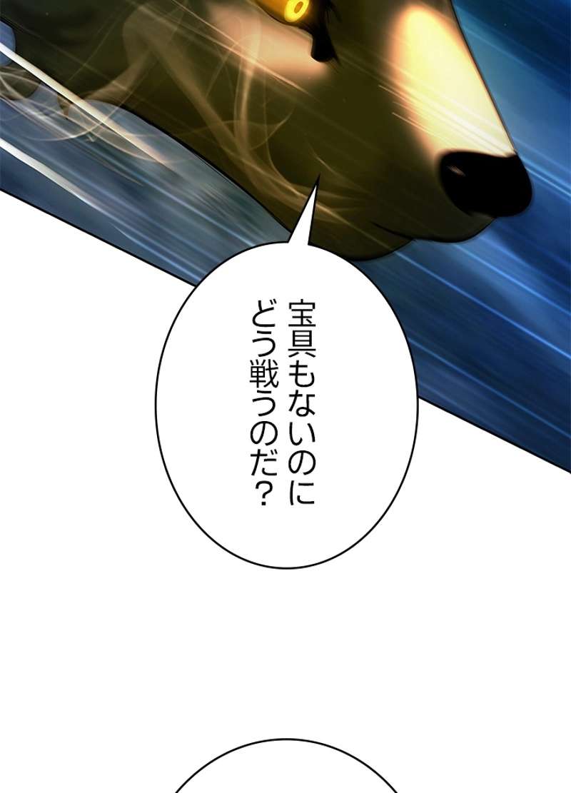 P53