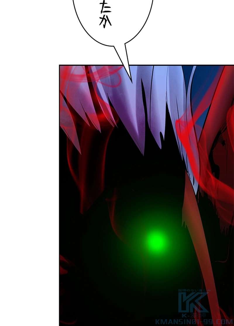P133