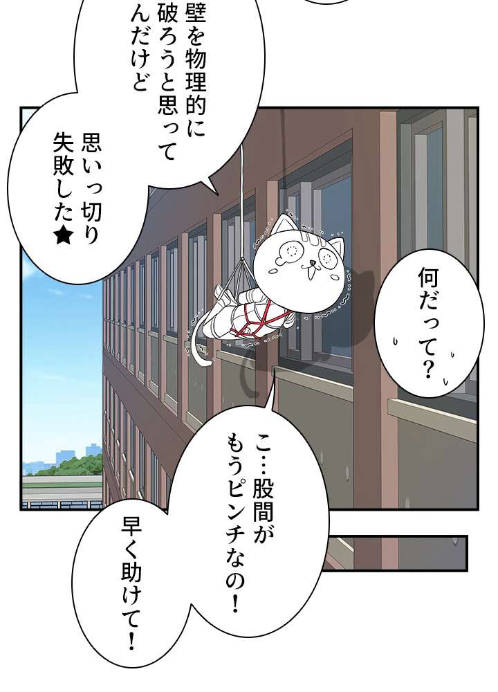 P134