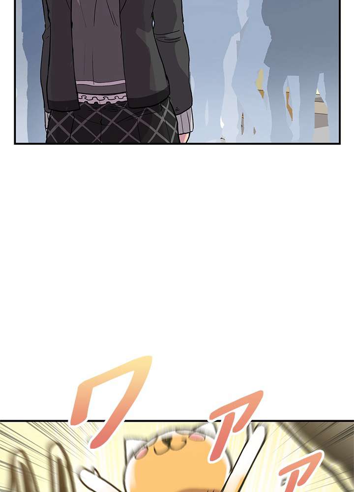 P81