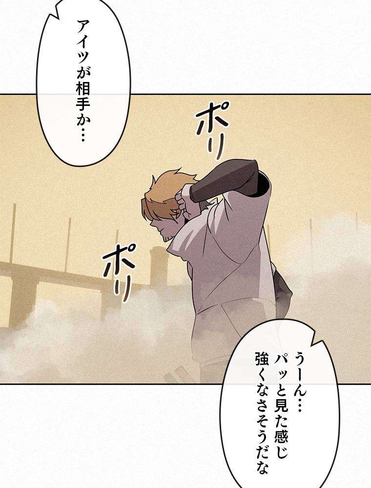 P63
