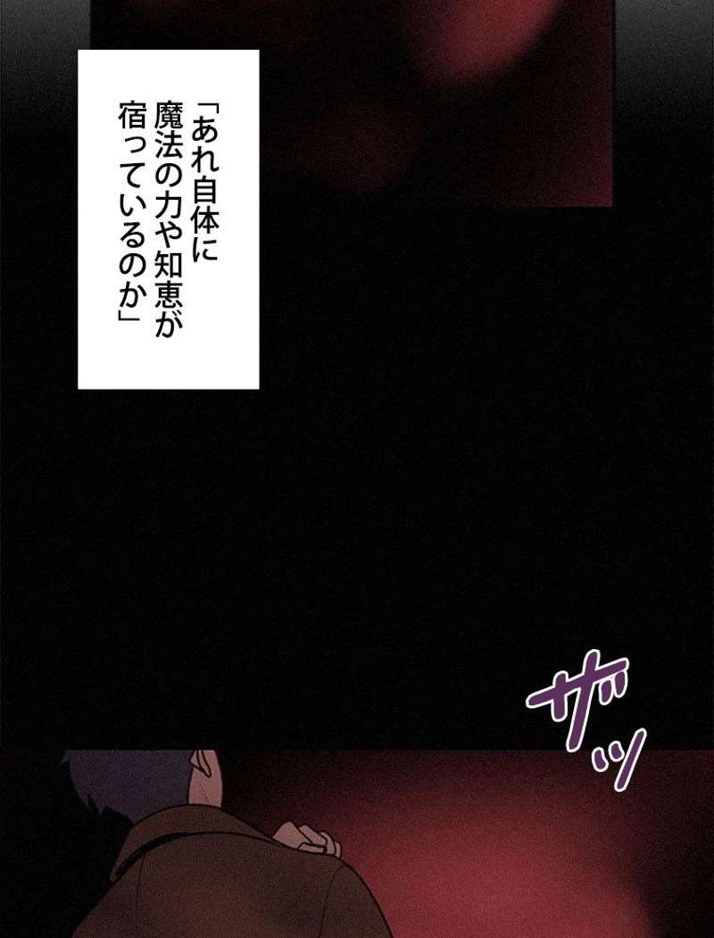 P58