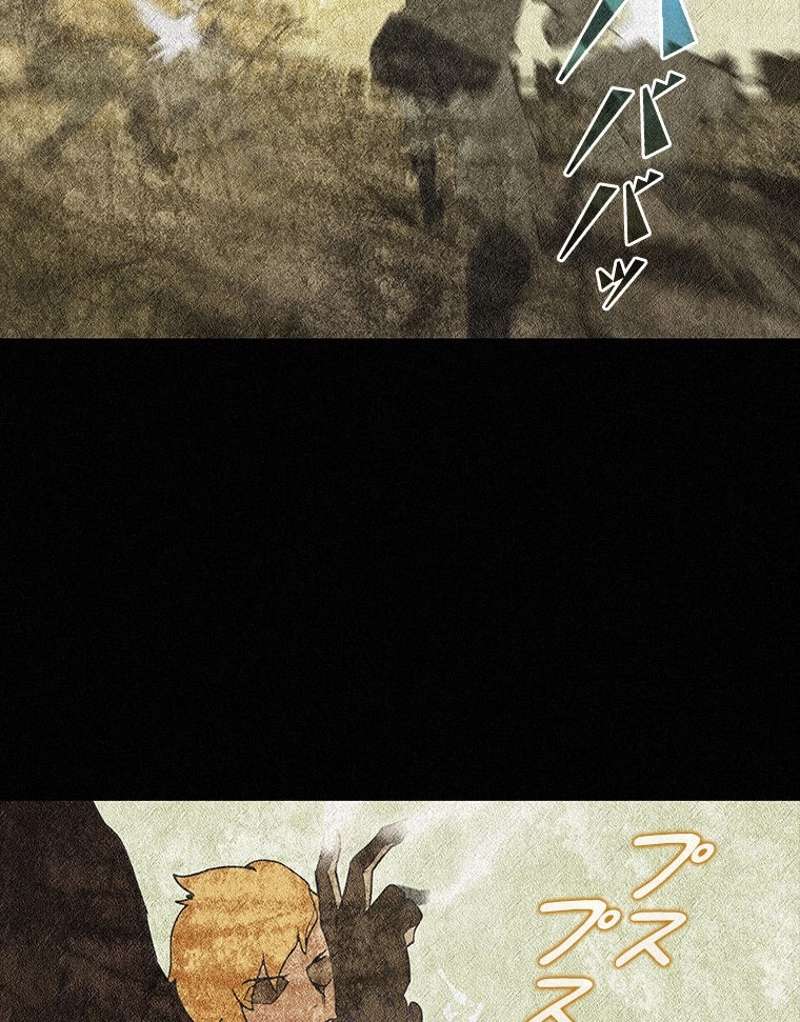 P66