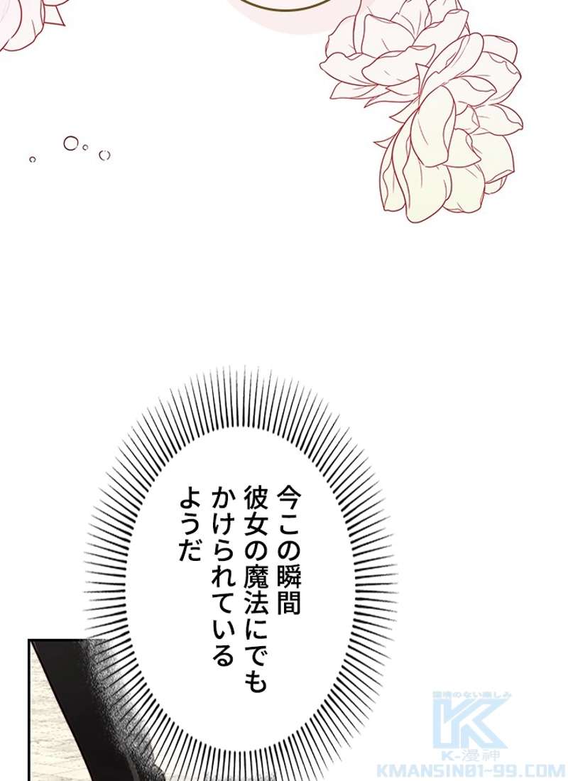 P58