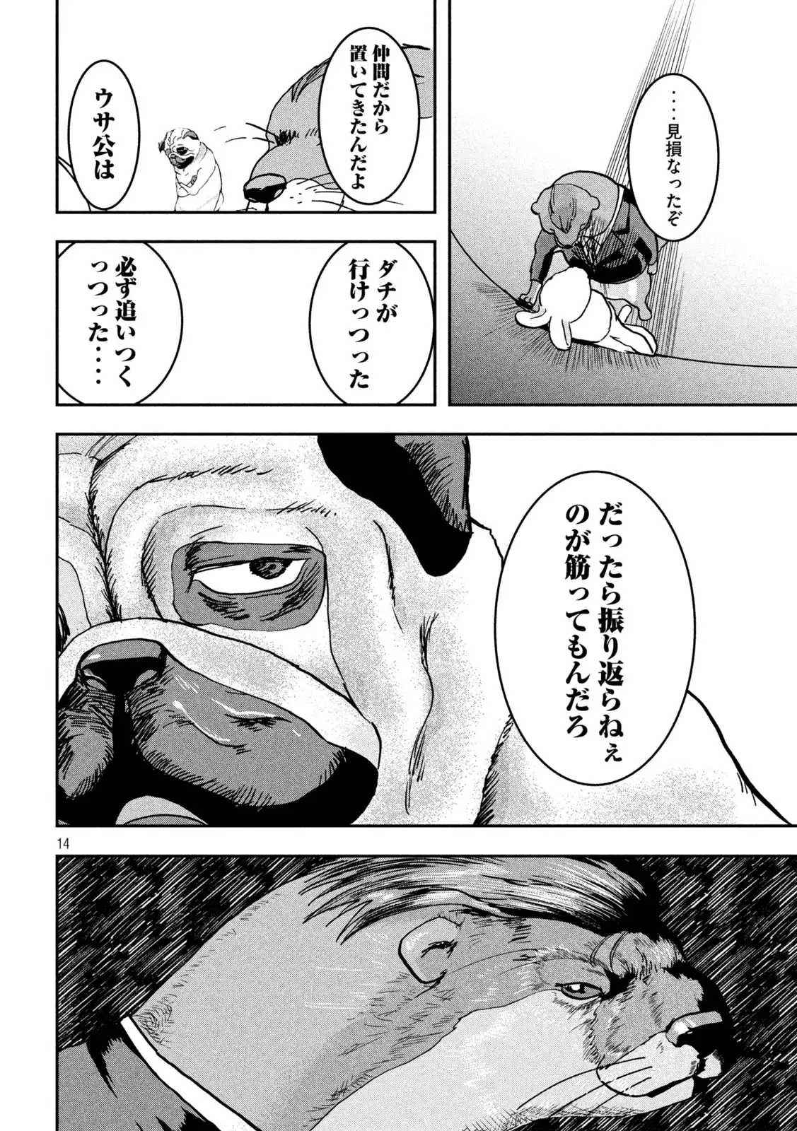 P14