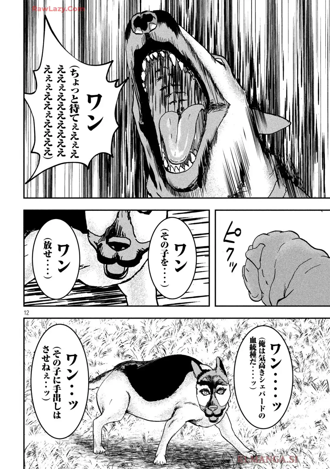 P12
