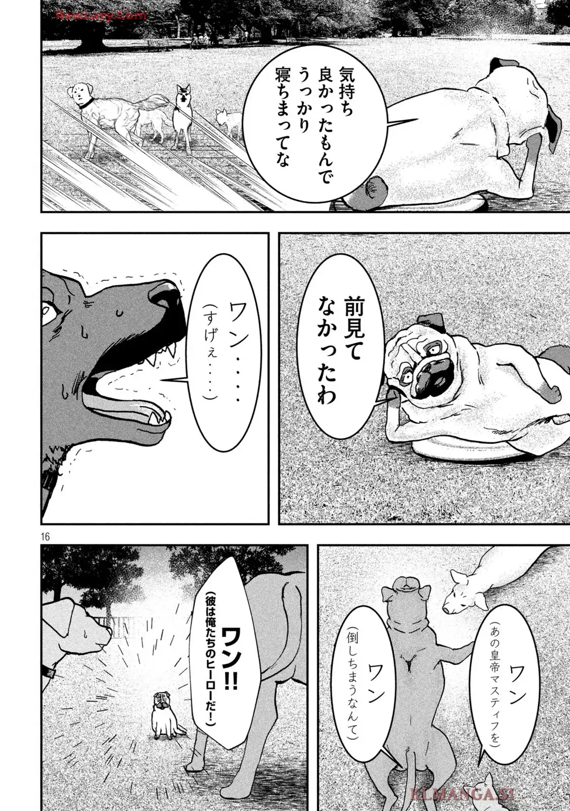 P16
