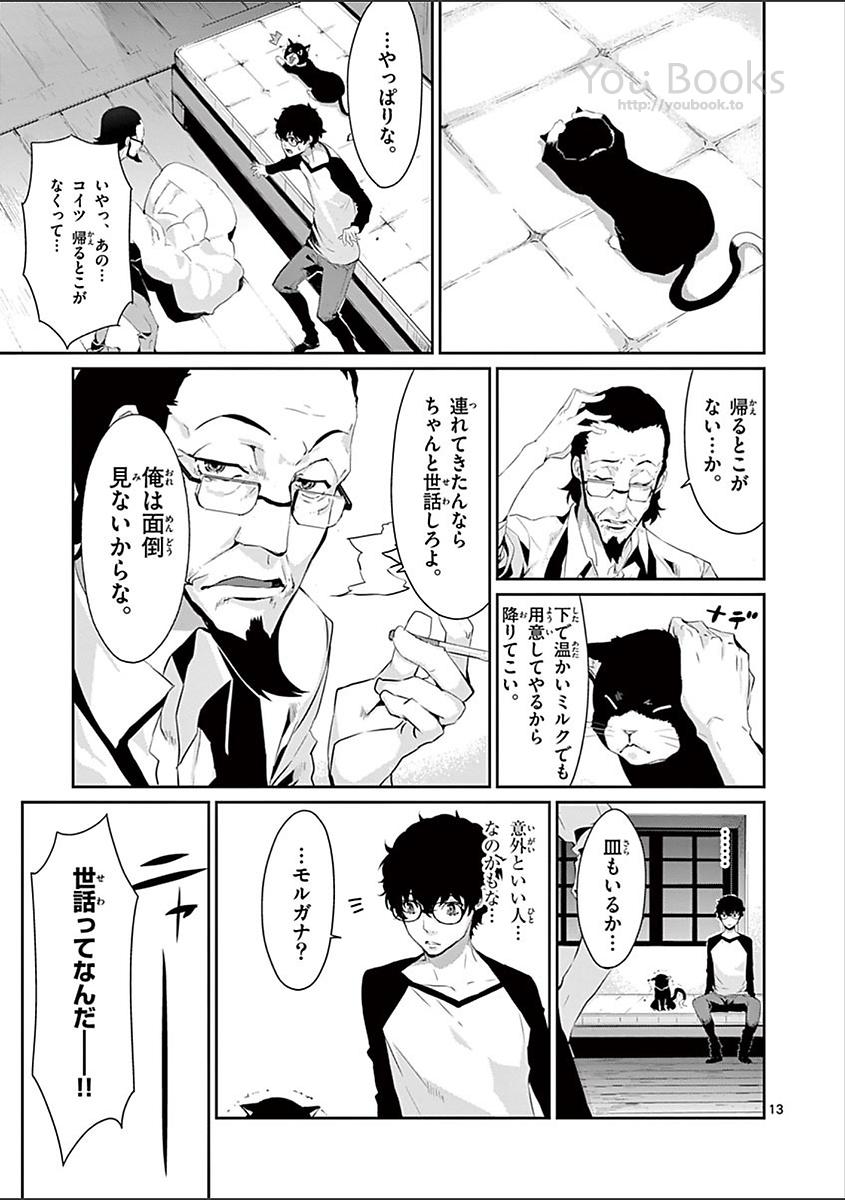 P13