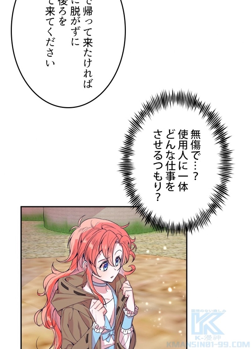 P53