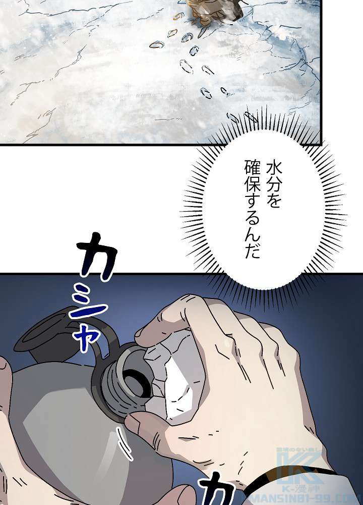 P61